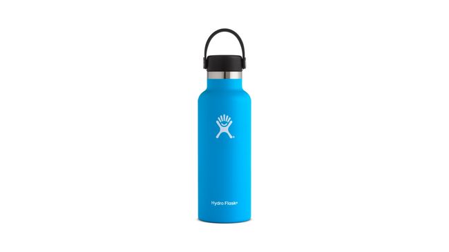 Hydro-Flask-18-oz-Standard-Mouth-Pacific.jpg