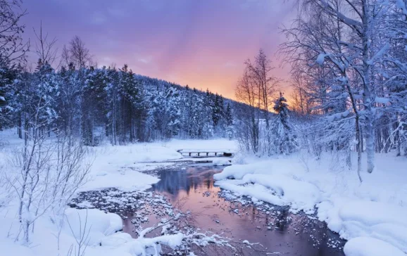 levi finland