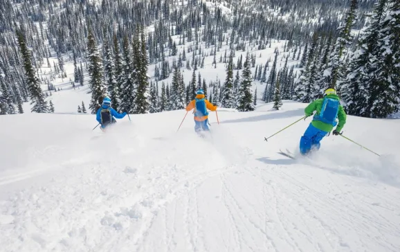 the best freeride skis of