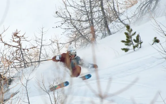 top 7 best freeride skis