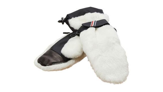 Moncler Grenoble Gloves for ski.jpg