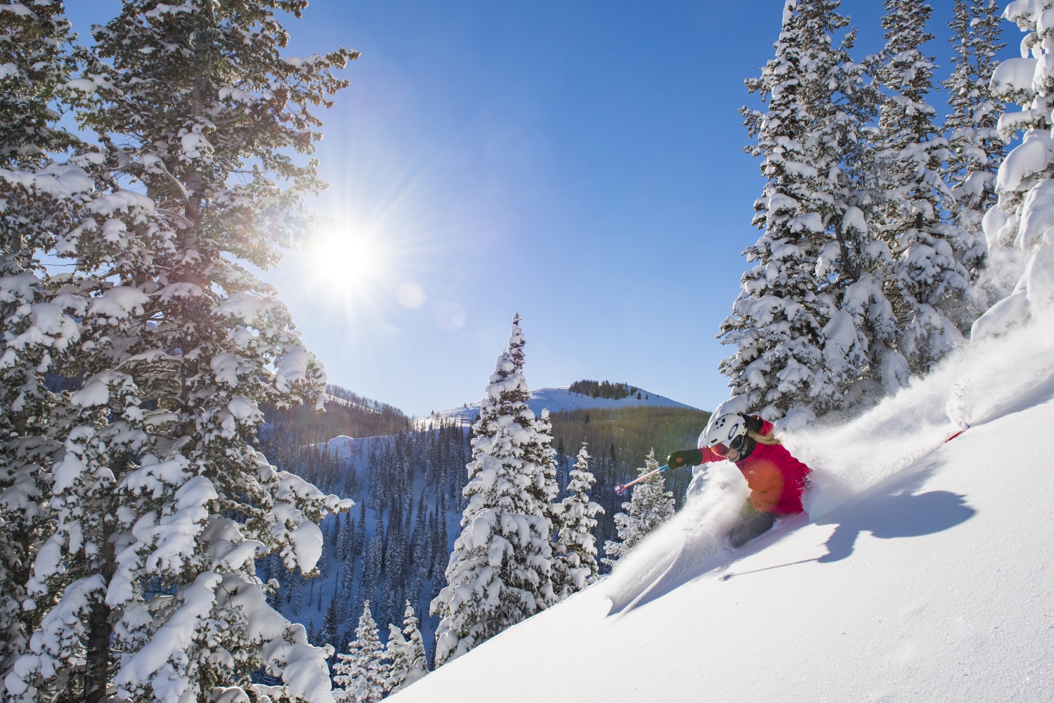 A skier carves a turn through deep snow surrounded by trees and blue sky in Park City, UT