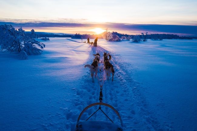 Take a Magical husky ride through the snow © K. Chae.jpg