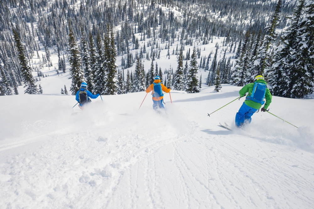 the best freeride skis of