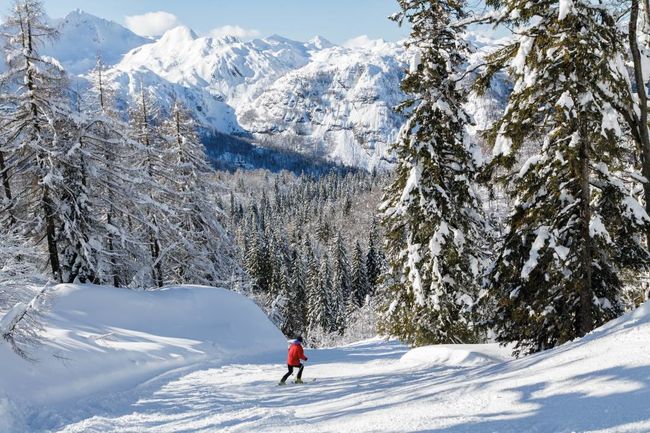 Slovenia Piste skiing.jpg