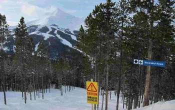 lone peak web