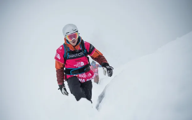 sascha hamm dcarlier