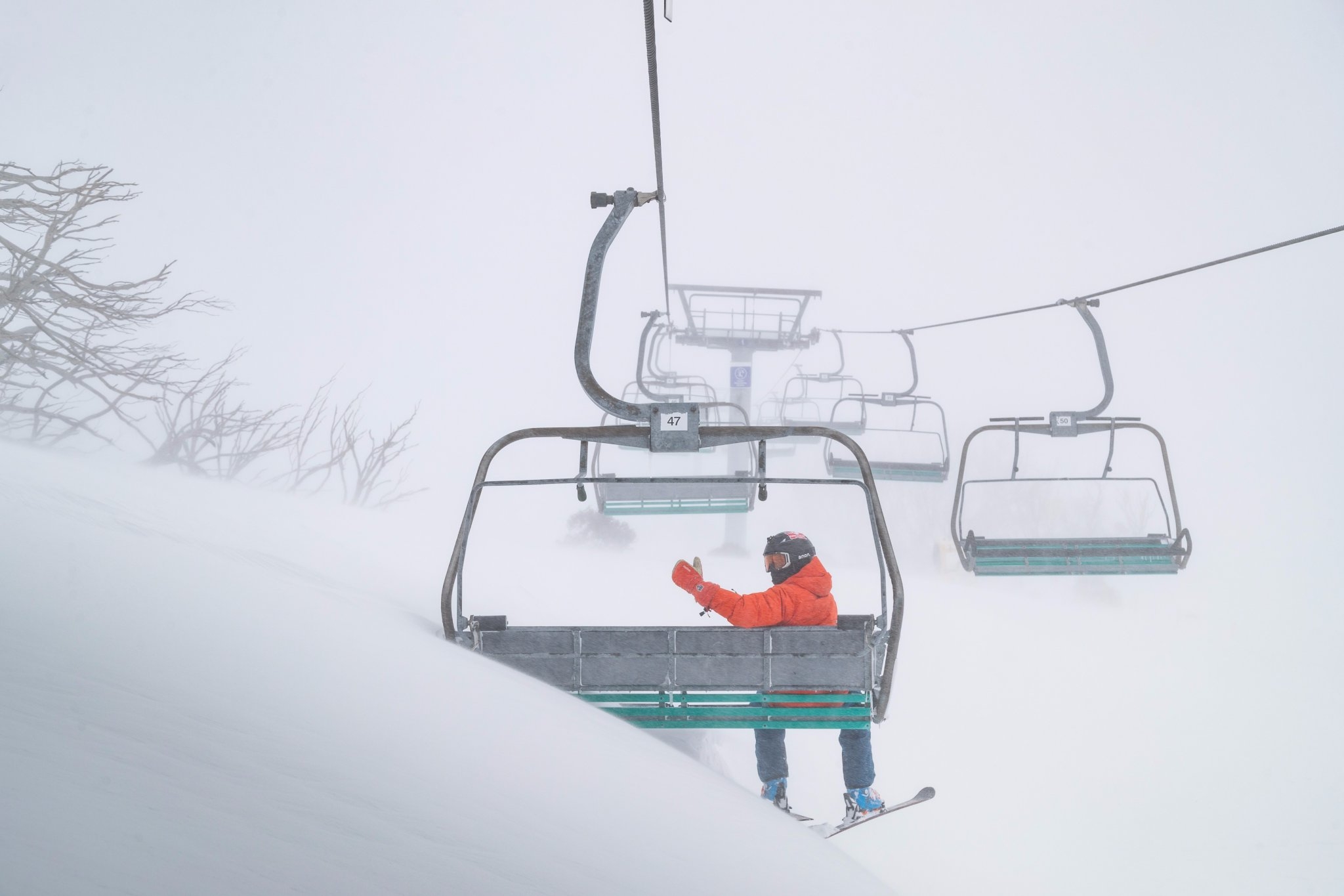 falls creek perisher mt buller and thredbo all rejoicing at blizzard of oz