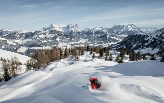 tirol freeride picture