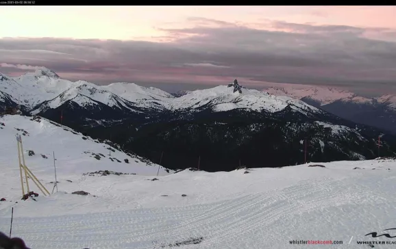 whistler cam