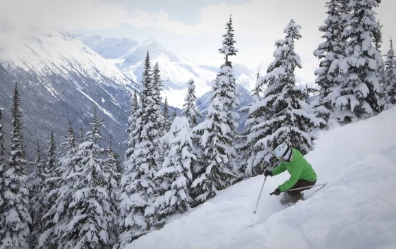 whistler skier in trees