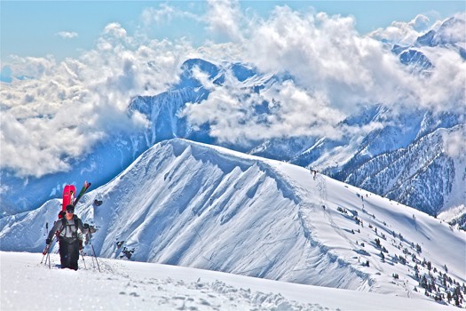 kicking horse powder tours1