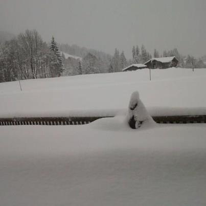 Half a metre of snow in Gstaad, Switzerland. The fence has disappeared! snow Gstaad Switzerland