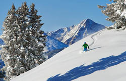 Vail powder March 2013