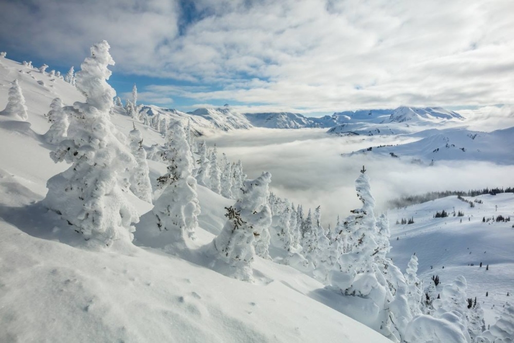 whistler 13218 whistler blackcombe facebook