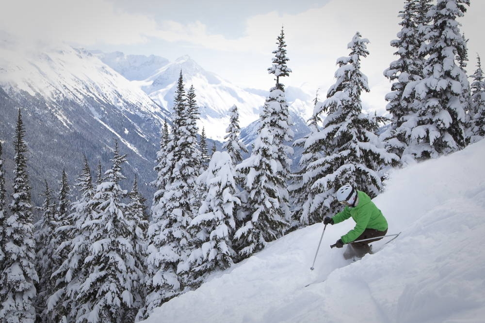 whistler skier in trees