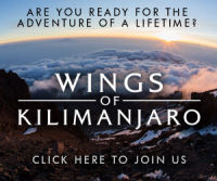 wings of kili logo