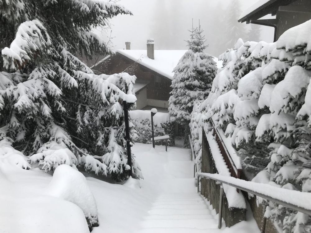 winter hits the alps early