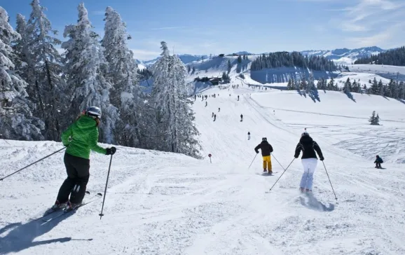 scheffau ski welt albin niederstrasser