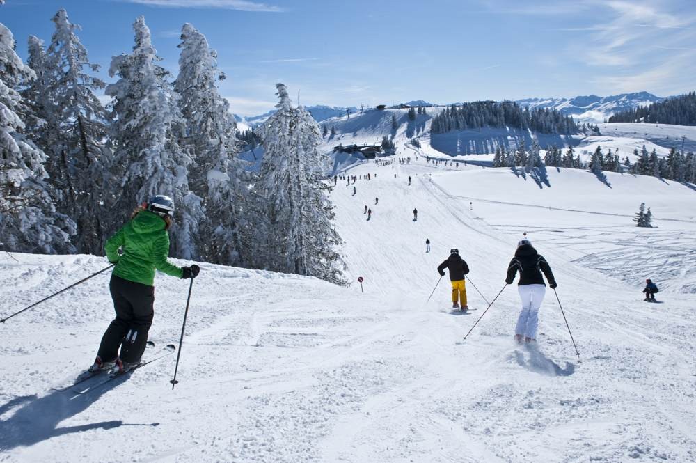 scheffau ski welt albin niederstrasser