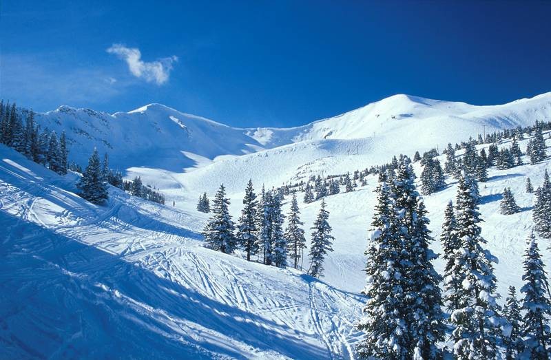 marmotbasin 619488 skirun