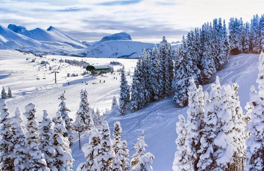 sunshine village adam locke december