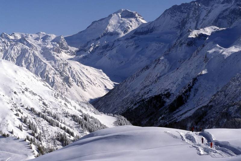 belleplagne 822823 offpiste