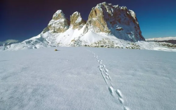 canazei 585776 dolomites