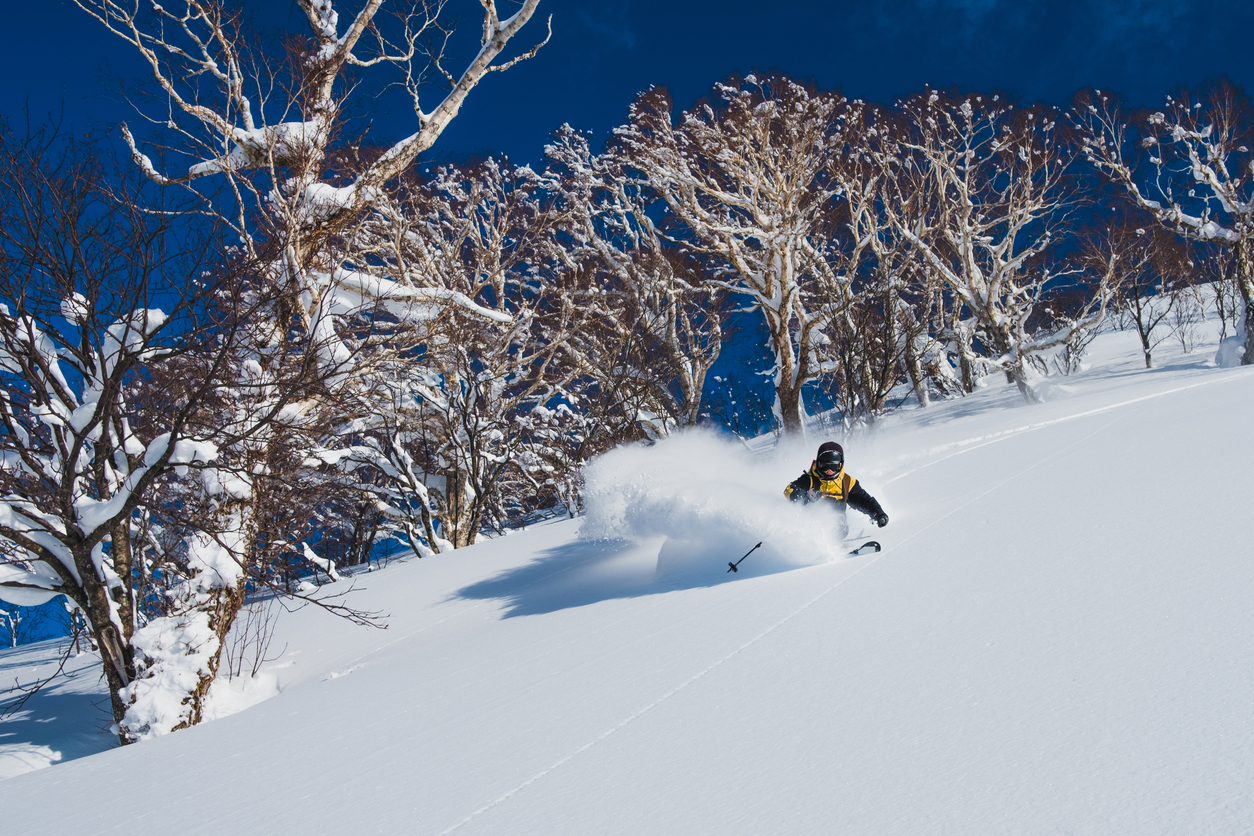 powder skiing in Niseko, Japan