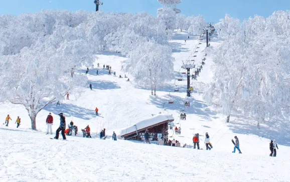 nozawa onsen