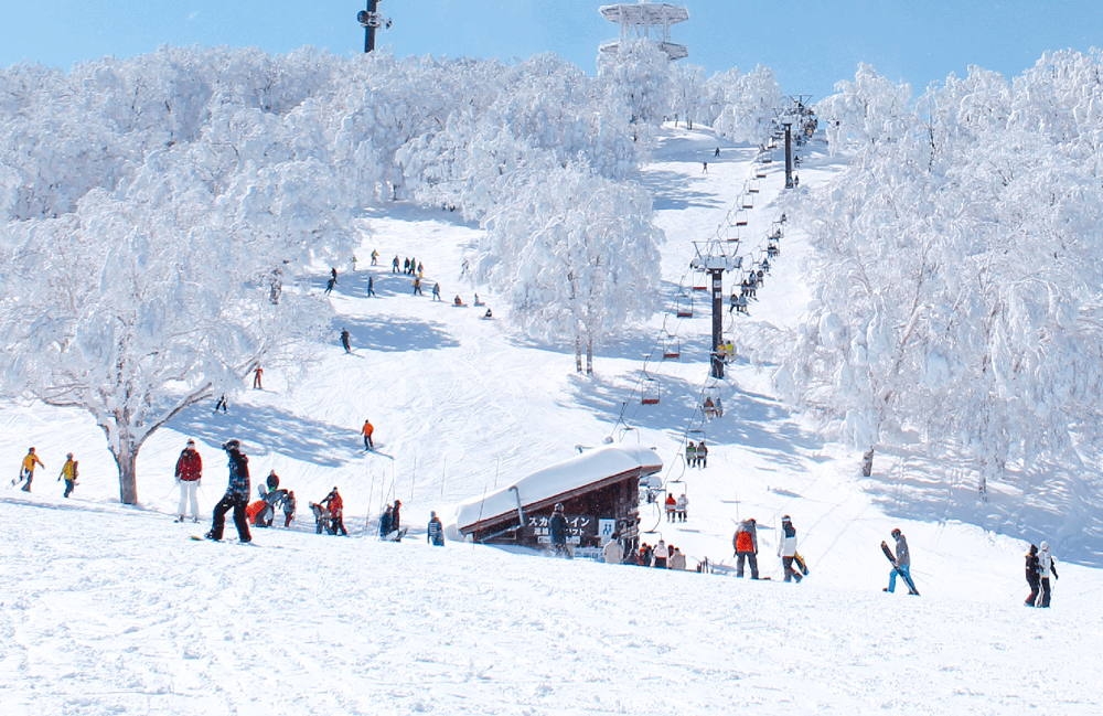 nozawa onsen