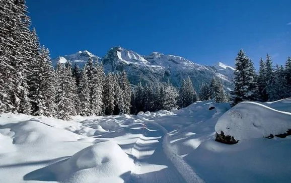 kandersteg 602772 snowscene