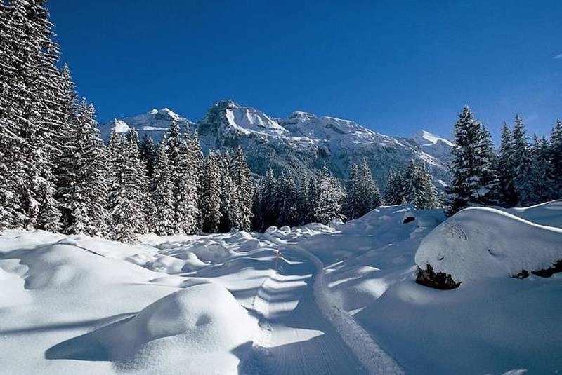 kandersteg 602772 snowscene