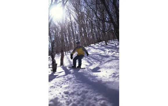 sugarloaf 614672 boarder