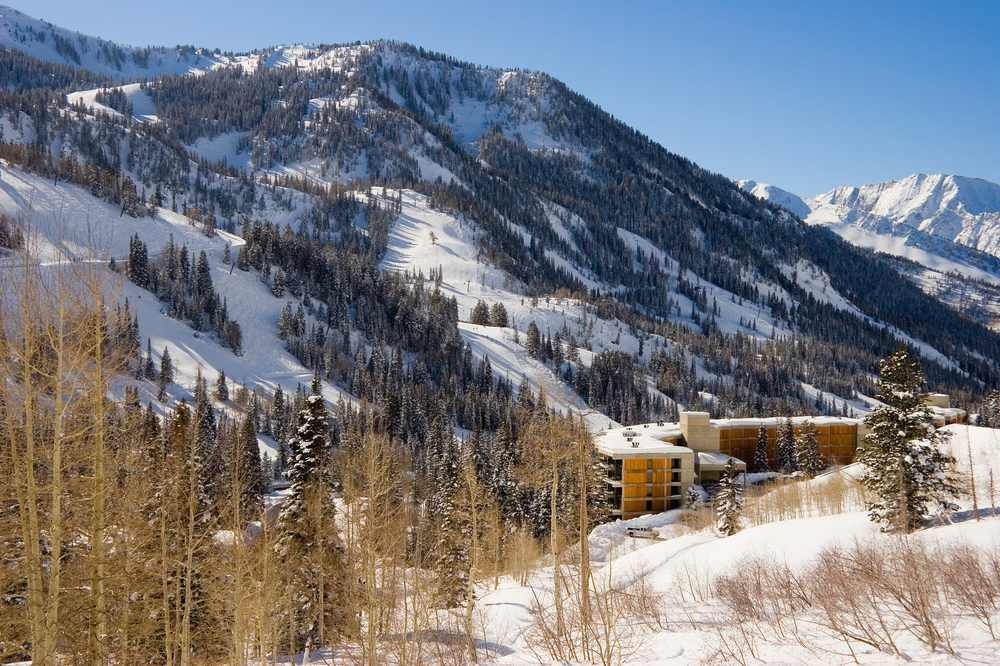 snowbird resort